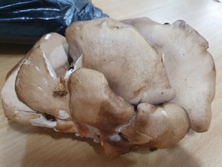 이은경님의 기타작물 · 자유게시판 작성글 사진