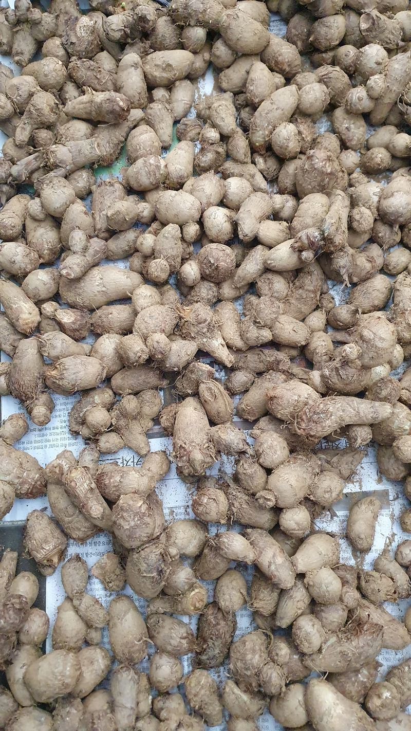 장터 상품 [생토란(상품 ) 1kg 5,600원.  3kg 18,000원. 5kg 29,000원. 배송비 3,000원별도] 썸네일