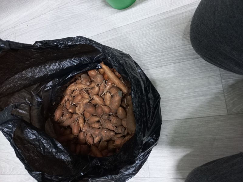 장터 상품 [인디언 감자10kg] 썸네일