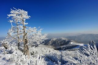 김주용님의 기타작물 · 자유게시판 작성글 사진