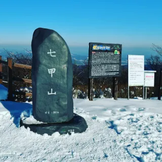 산 아래님의 마늘 · 일상 작성글 사진