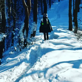 산 아래님의 마늘 · 일상 작성글 사진