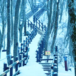 산 아래님의 마늘 · 일상 작성글 사진