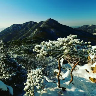 산 아래님의 마늘 · 일상 작성글 사진