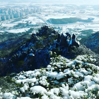 산 아래님의 마늘 · 일상 작성글 사진