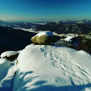 산 아래님의 마늘 · 일상 작성글 사진