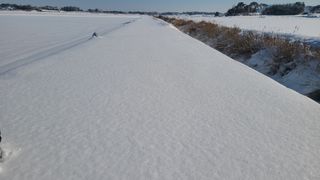 방은영님의 고구마 · 자유게시판 작성글 사진