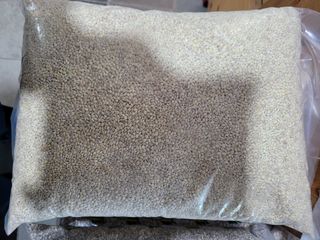 팜모닝회원논산농부님의 작성글 사진