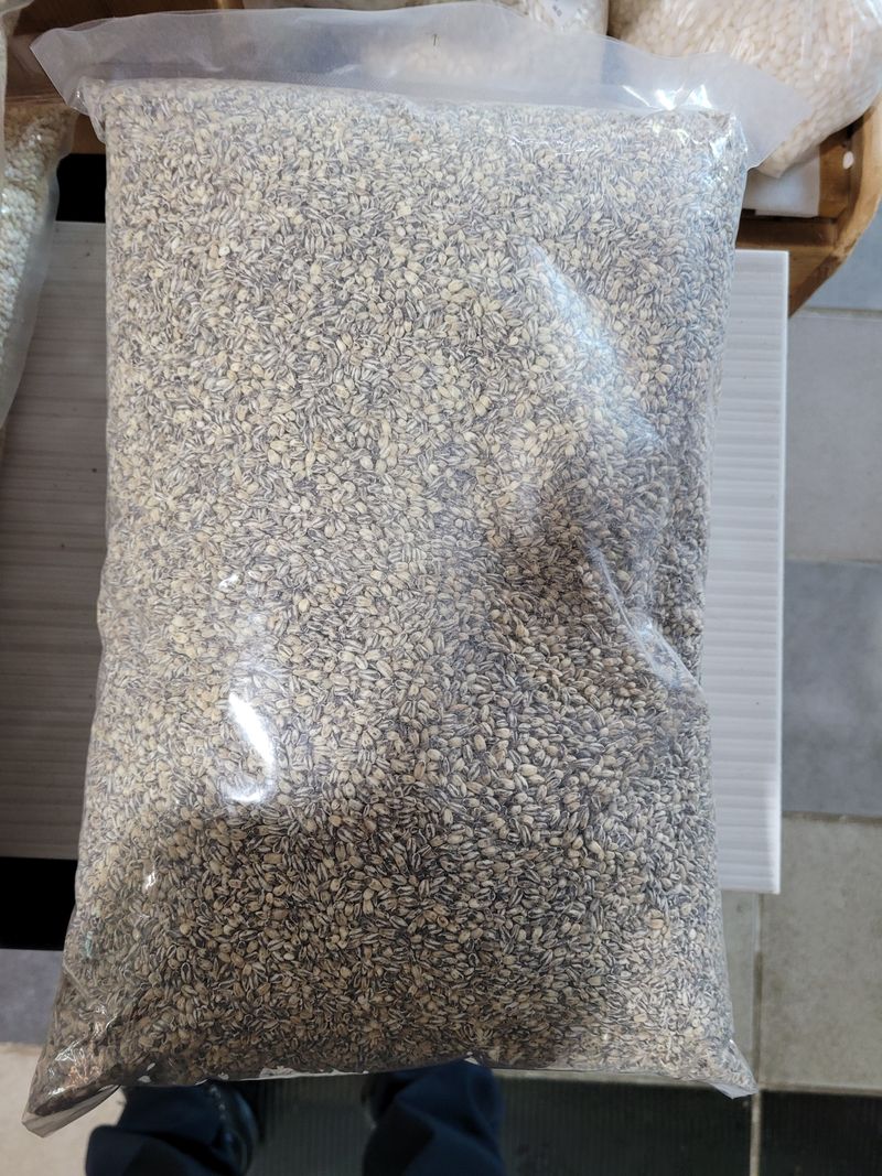 팜모닝회원논산농부님의 장터 판매 상품 [찰보리쌀4키로 ] 첨부 사진