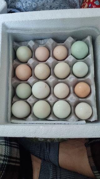 믿음소2님의 기타작물 · 자유게시판 작성글 사진