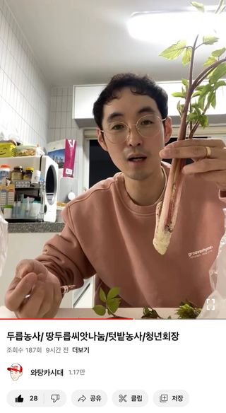 와탕카시대님의 두릅 · 품종•종자 작성글 사진