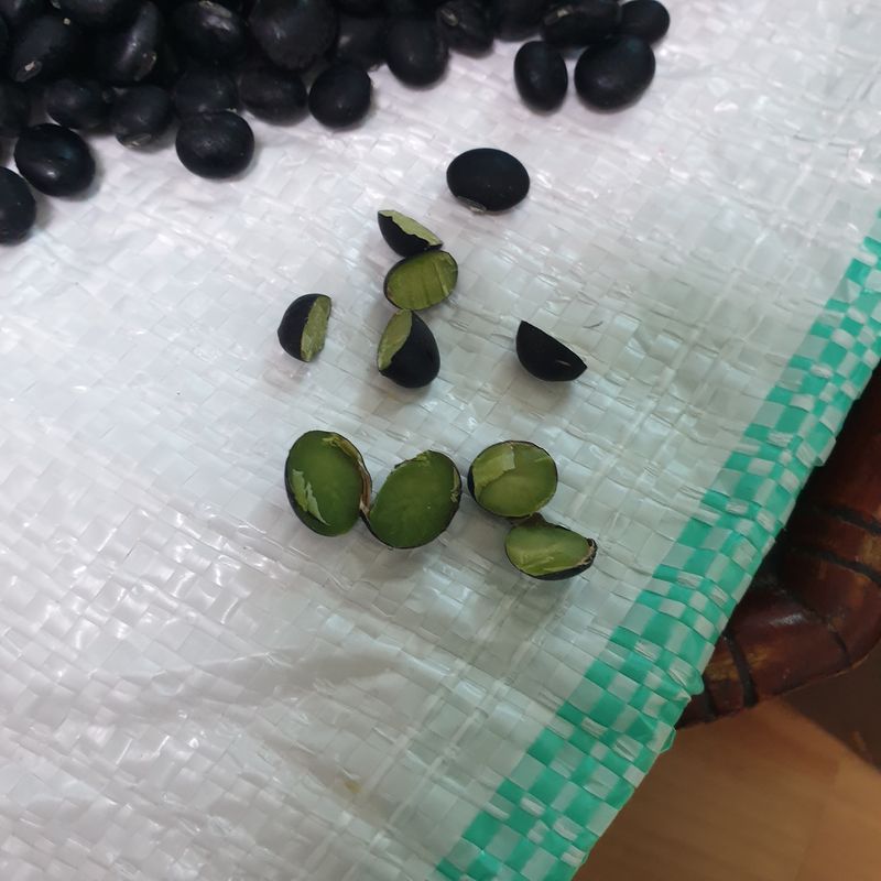 이름이없음님의 장터 판매 상품 [서리태 청태 판매합니다] 첨부 사진