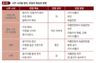 매실 농사도우미님의 매실 · 농사길잡이 작성글 사진