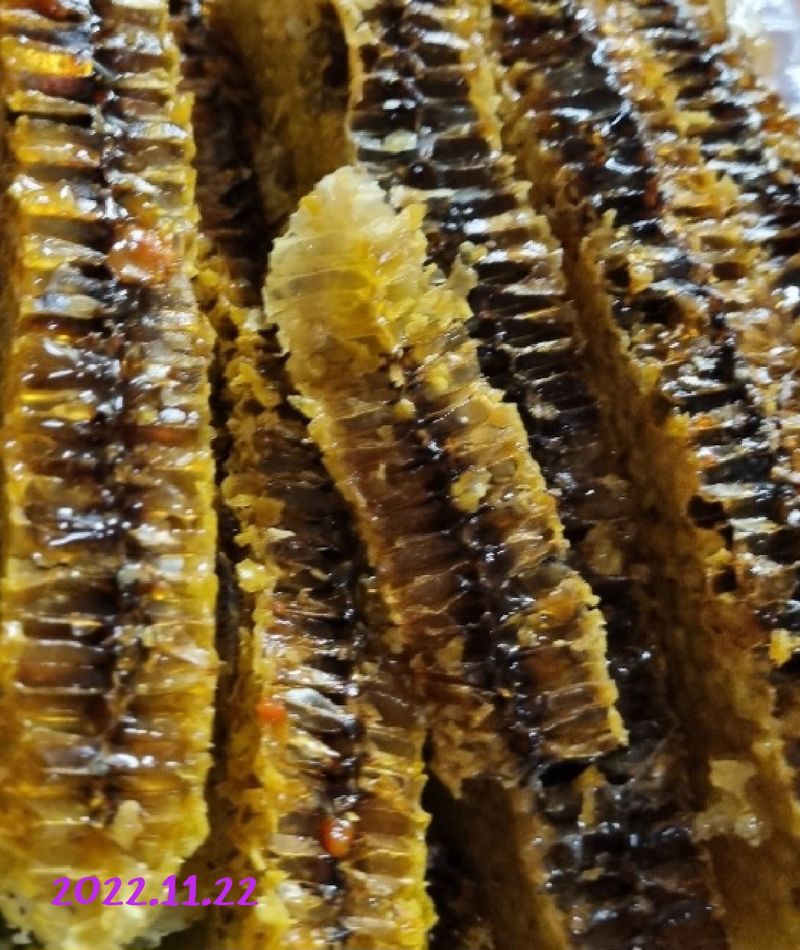 장터 상품 [토종벌꿀 1.2 kg[판매완료]] 썸네일