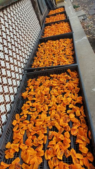 권혜전님의 작성글 사진