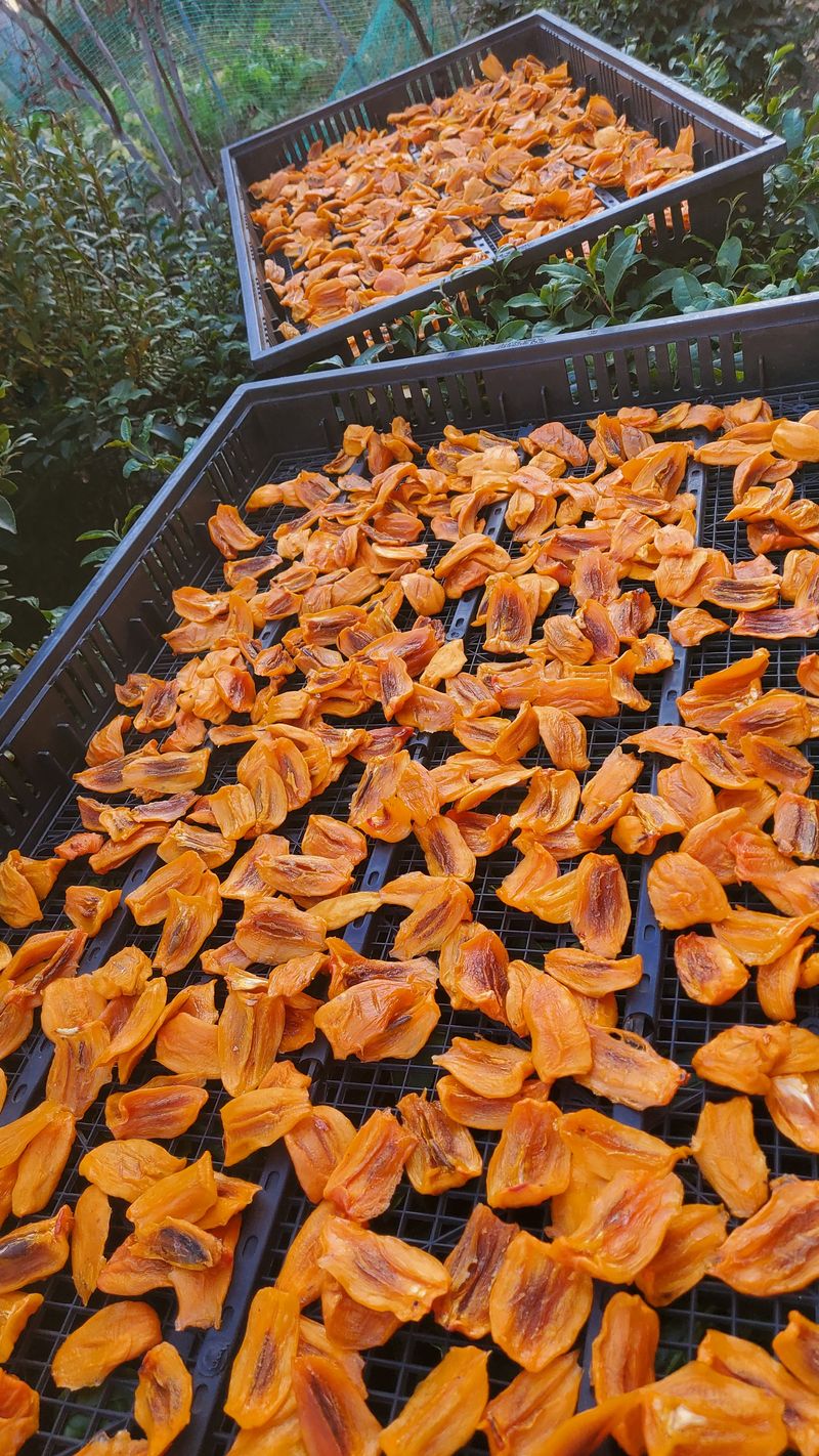 장터 상품 [감말랭이 1키로 ] 썸네일