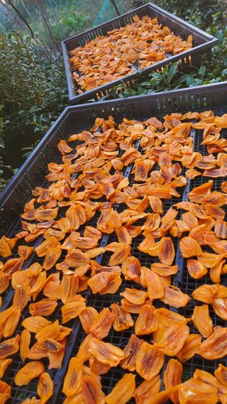 권혜전님의 작성글 사진