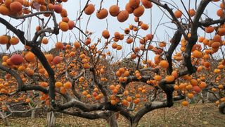 권혜전님의 작성글 사진