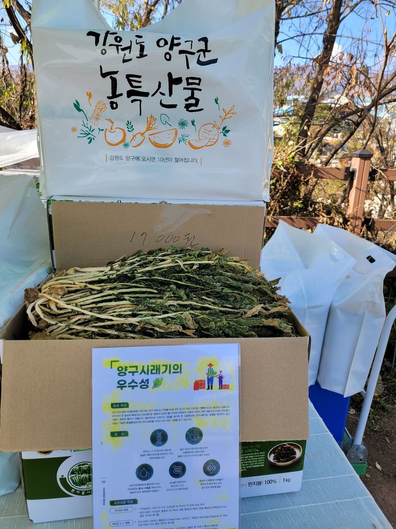 해안 펀치볼 시래기님의 장터 판매 상품 [햇 시래기] 첨부 사진