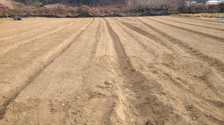 조병대님의 기타작물 · 자유게시판 작성글 사진