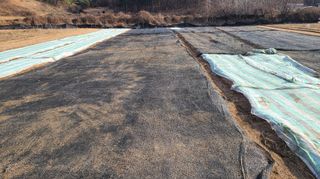 조병대님의 기타작물 · 자유게시판 작성글 사진