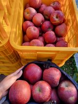 팜모닝 · 게시글 이미지