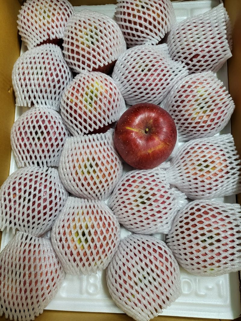 김주영님의 장터 판매 상품 [ ☃️  겨울 부사 달콤한 🍎 ] 첨부 사진