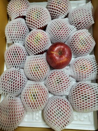 김주영님의 작성글 사진