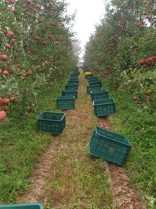 조순자님의 작성글 사진