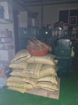 조순자님의 작성글 사진