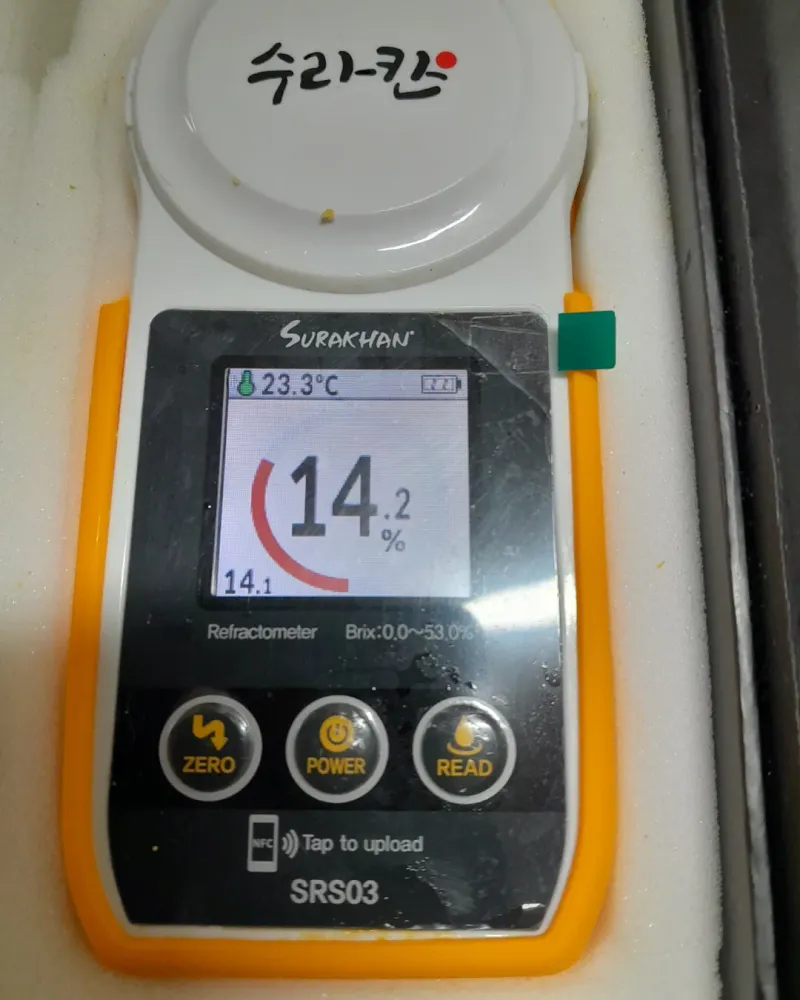 대정골귤꽃농원님의 장터 판매 상품 [혼합 노지귤 15키로] 첨부 사진