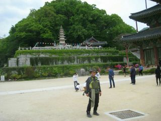 윤광성님의 기타작물 · 병해충상담 작성글 사진