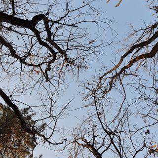 모두팜님의 기타작물 · 자유게시판 작성글 사진