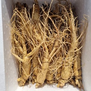 모두팜님의 기타작물 · 자유게시판 작성글 사진