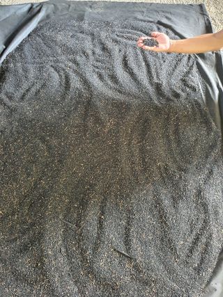 김봉래님의 작성글 사진