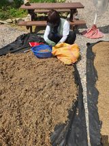 팜모닝 · 게시글 이미지