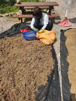 김봉래님의 작성글 사진