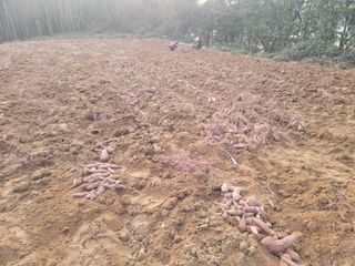 새렘님의 작성글 사진