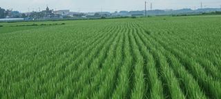 고현탁 님의 작성글 사진