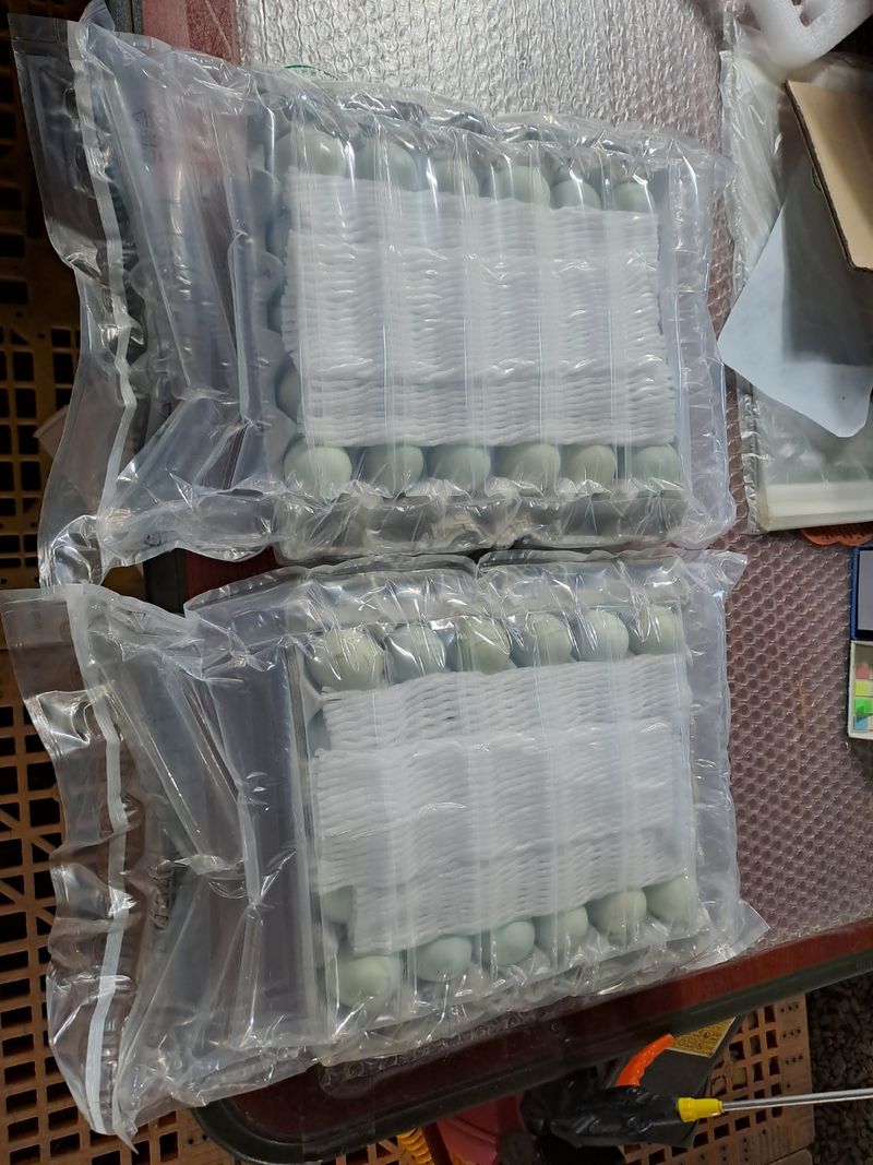 홍성샤인농부님의 장터 판매 상품 [식용 청계란판매합니다] 첨부 사진