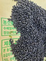 팜모닝 콩·자유게시판 게시글 이미지