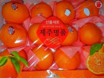 김우주님의 장터 판매 상품 [레드향 3키로 5키로] 첨부 사진