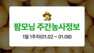 배 농사도우미님의 배·자연재해•동물피해 작성글 사진