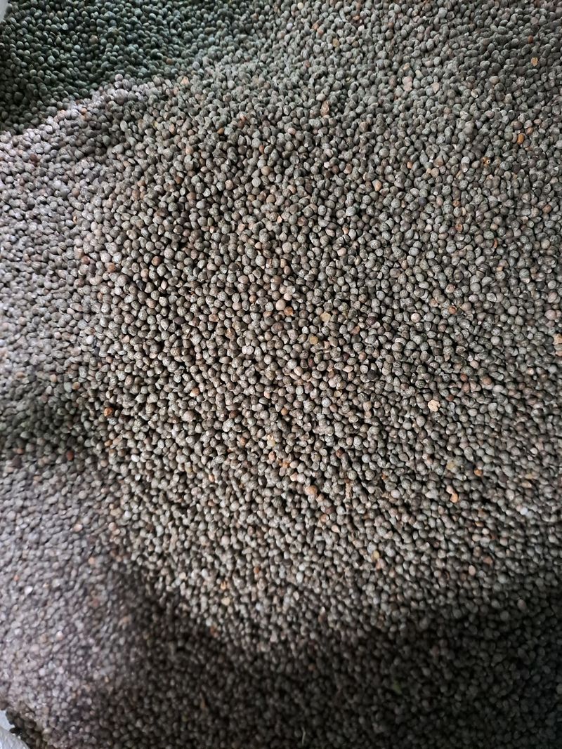 장터 상품 [들깨판매합니다] 썸네일