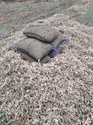 이기환님의 콩 · 자유게시판 작성글 사진