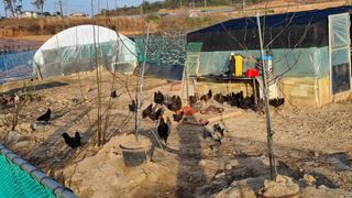 김민철 님의 작성글 사진