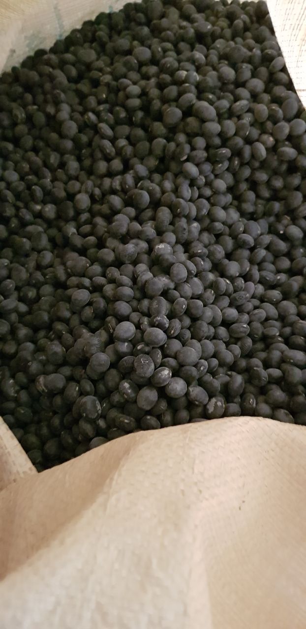 장터 상품 [서리태콩 ] 썸네일