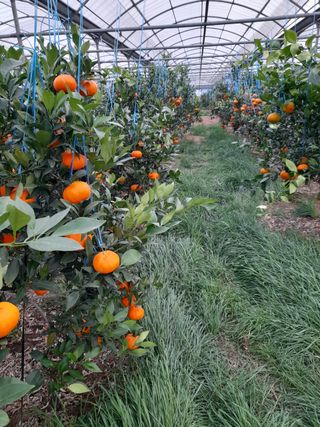 김정숙님의 작성글 사진