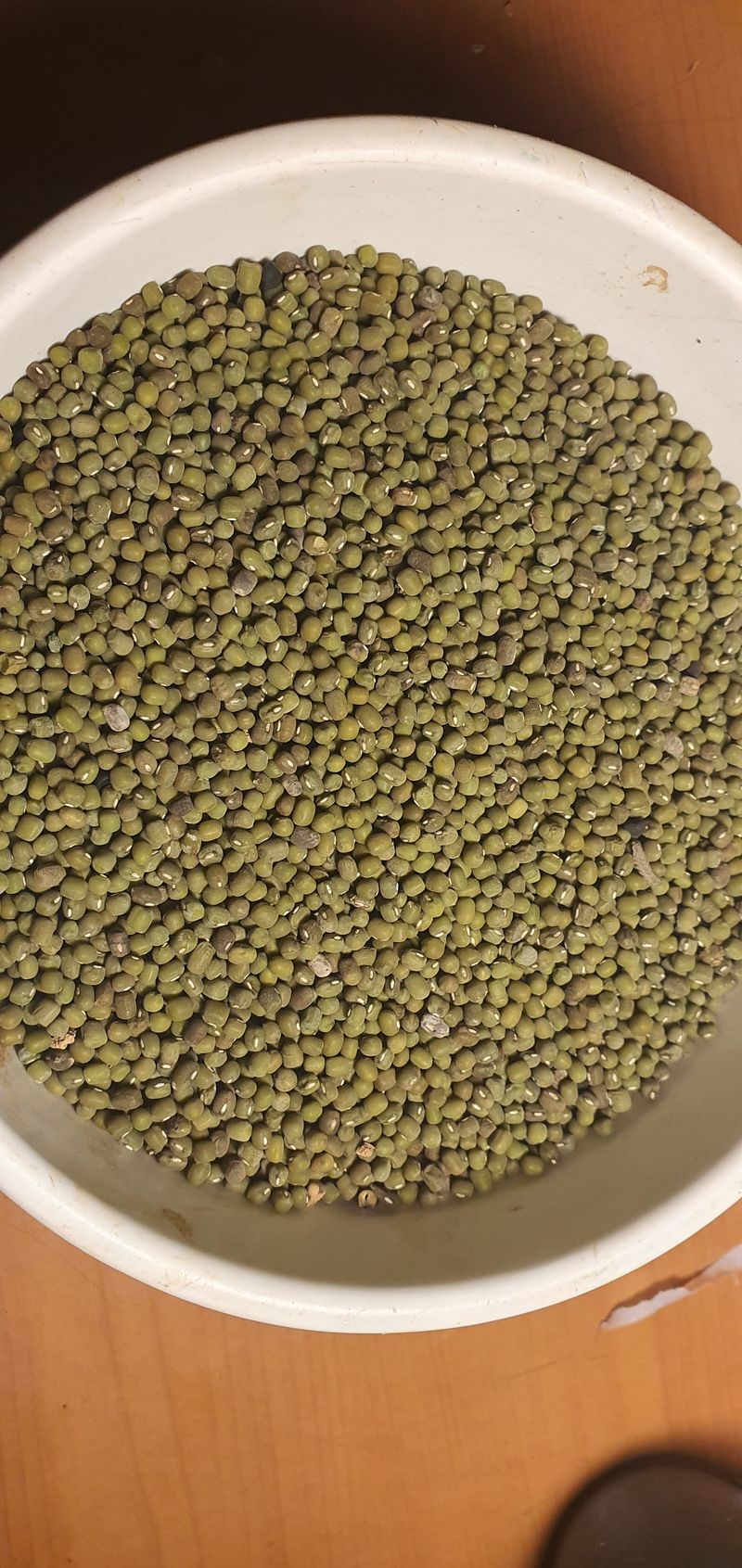 장터 상품 [녹두 16kg] 썸네일