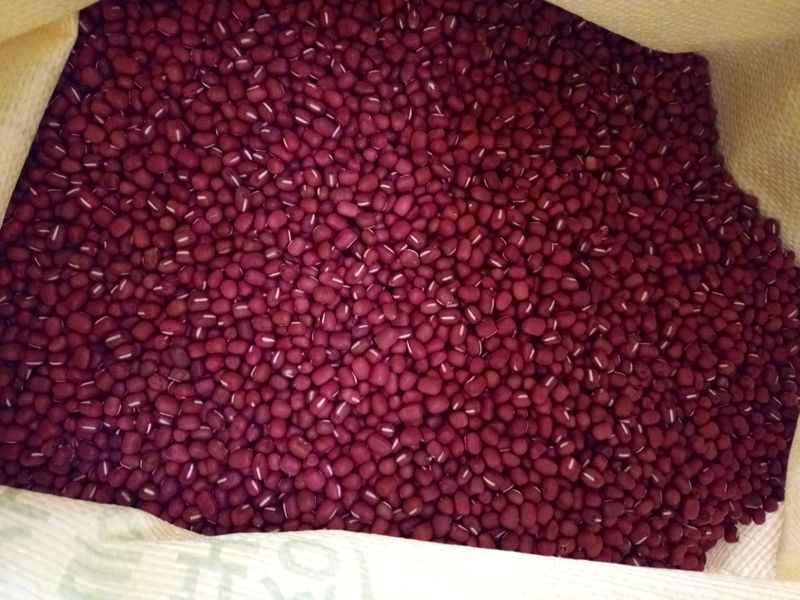 장터 상품 [팥  1키로 9000] 썸네일